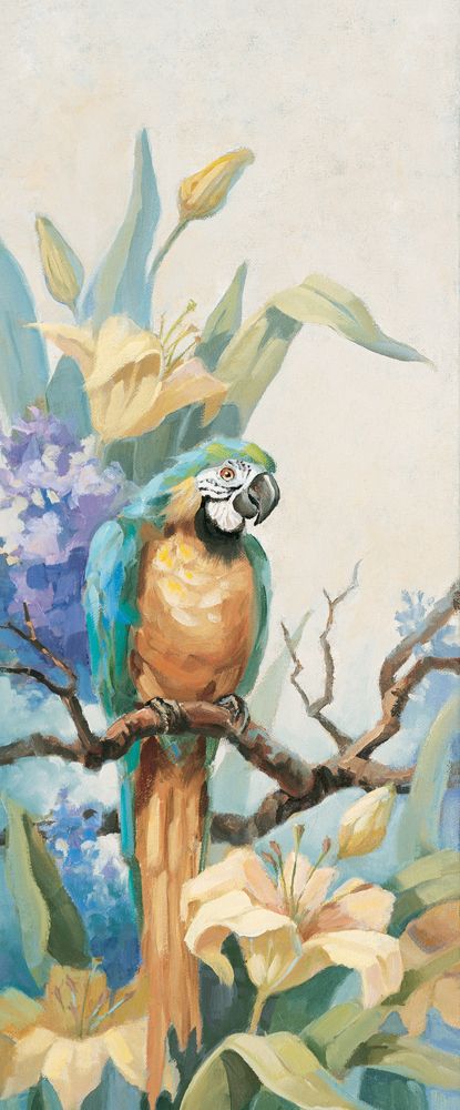 Parrot Sitting